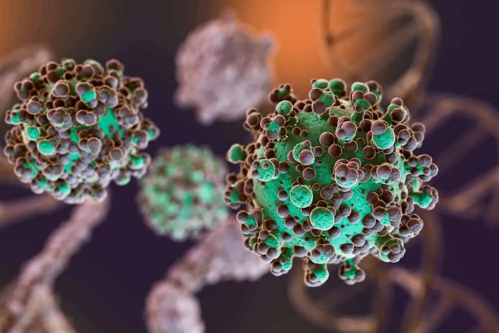 Hantavirus Belirtileri Nelerdir 