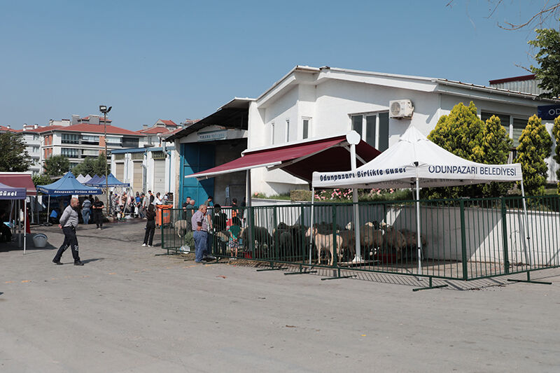 Odunpazarı’ndan Ücretsiz Ve Hijyenik Kurban Kesim Hizmeti (3)