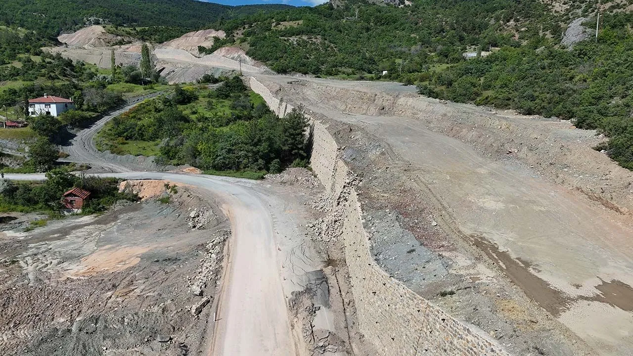 Duvar Göçüğü