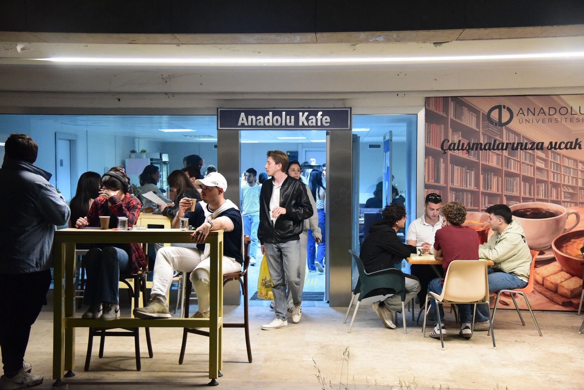 Anadolu Üniversitesi