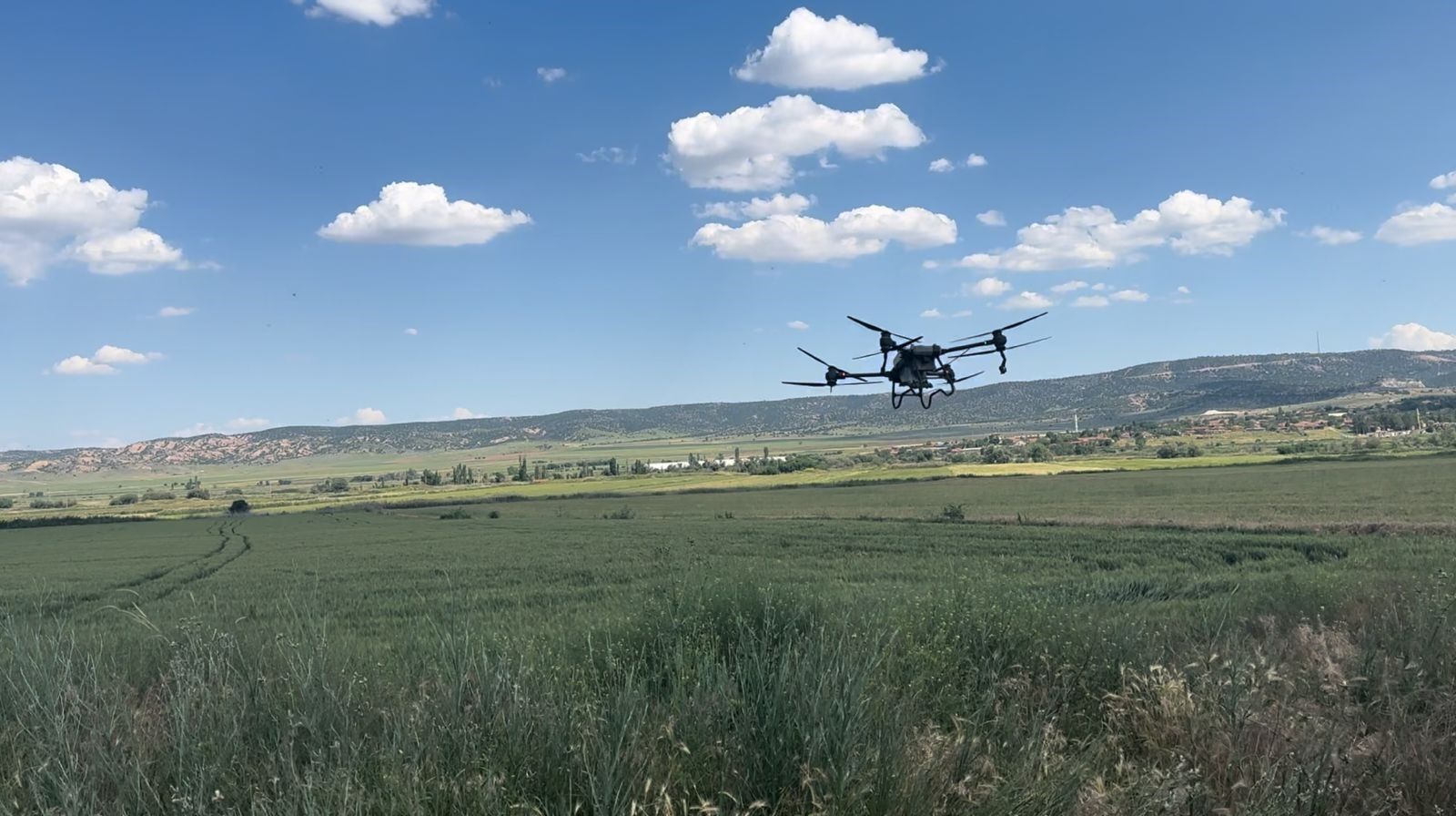 Dron