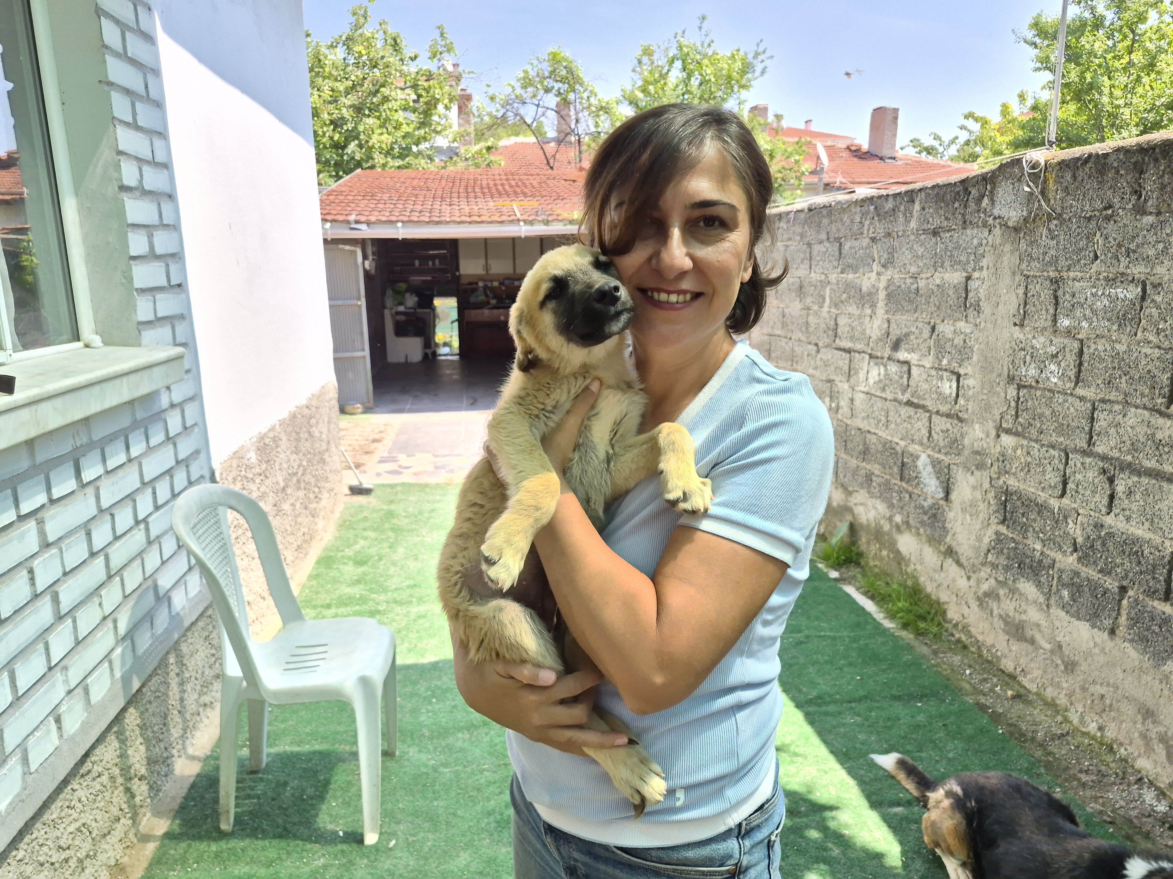 Köpek