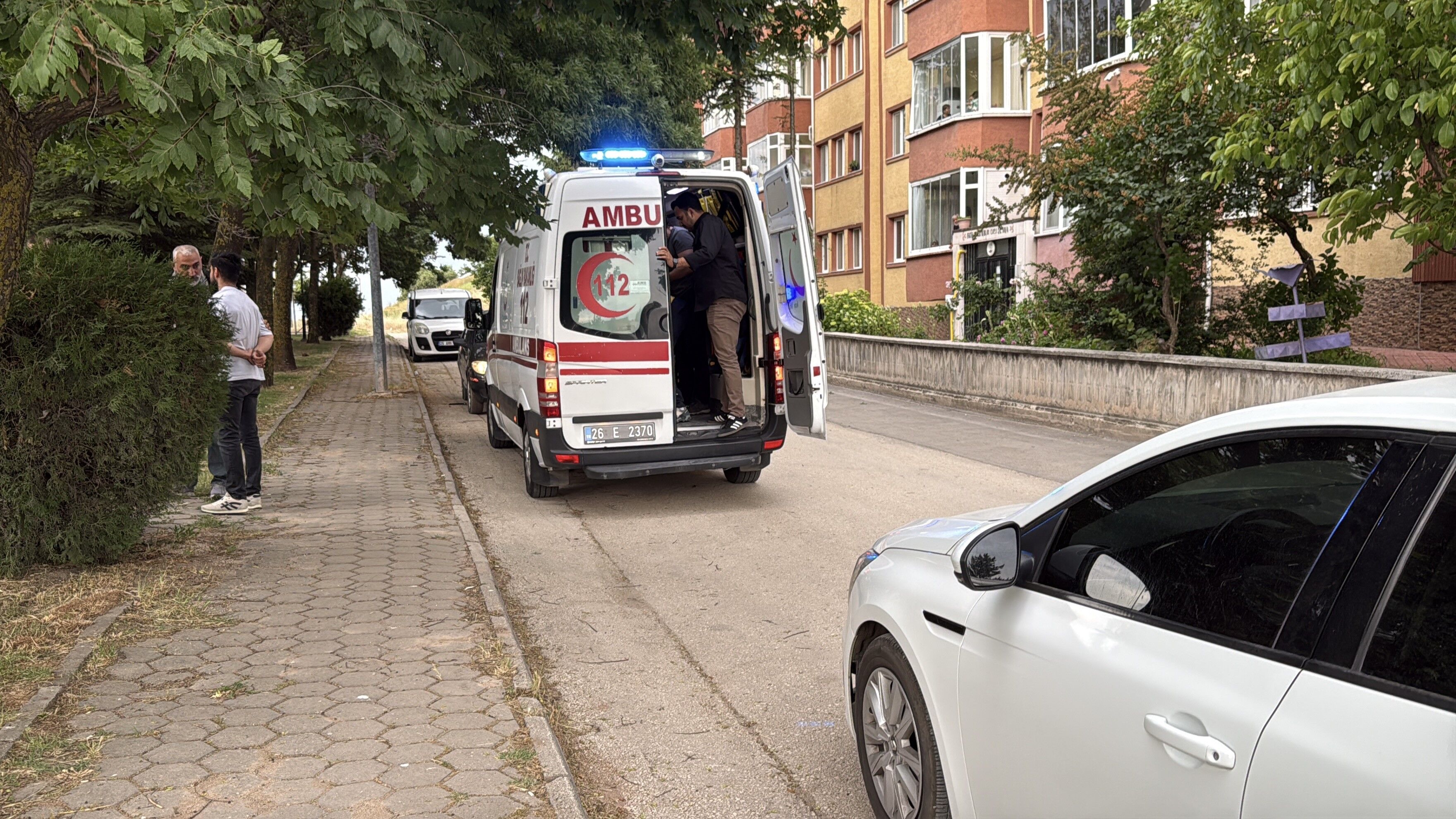 Kız Arkadaş Kavgası