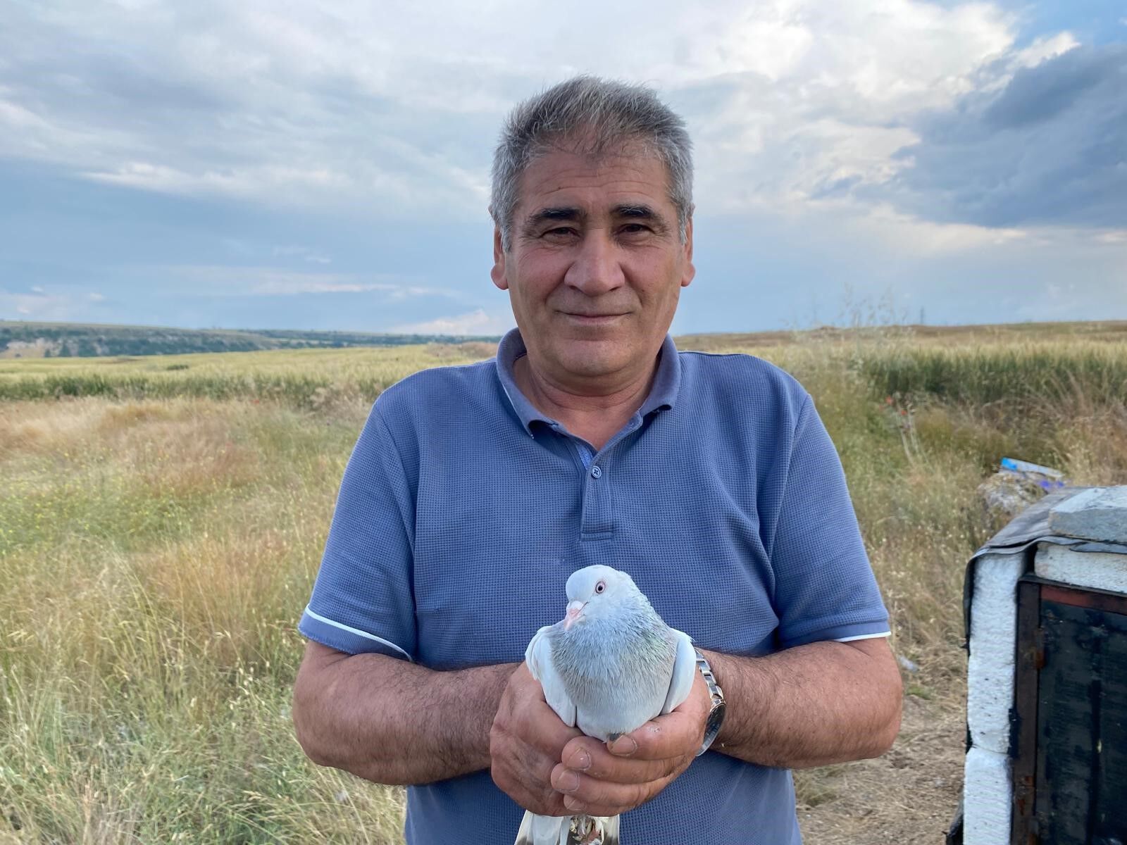 Güvercin