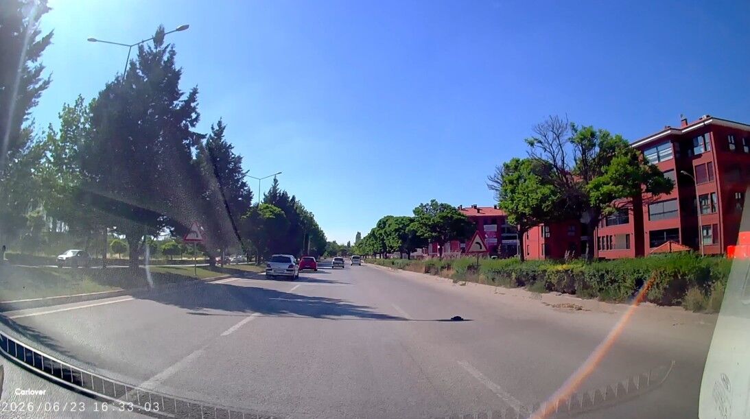 Su Kaplumbağası