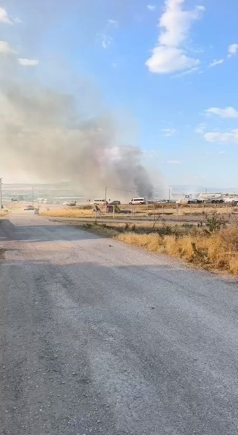 Yangın