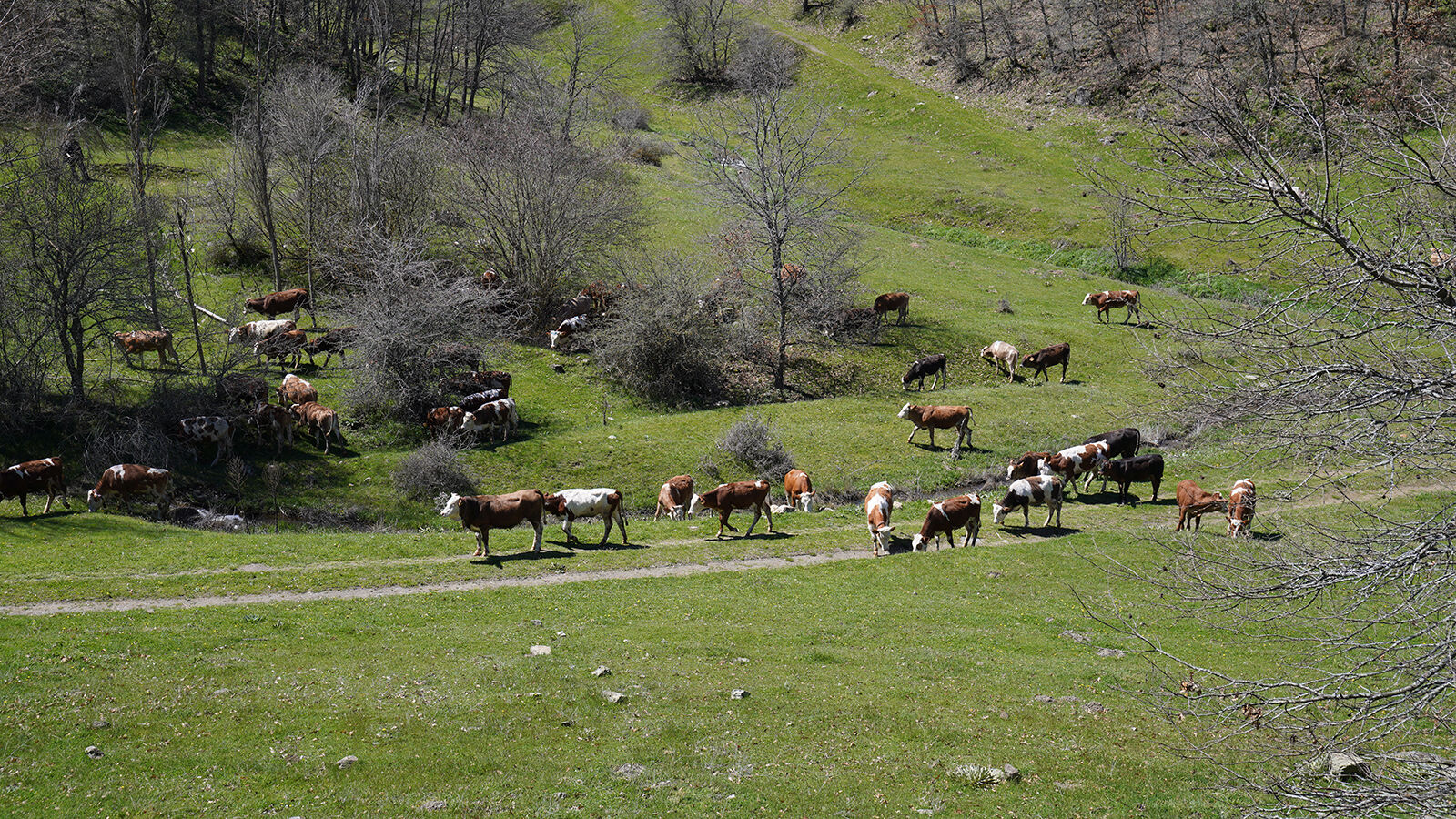 Ataç Çocuklarımızın (1)