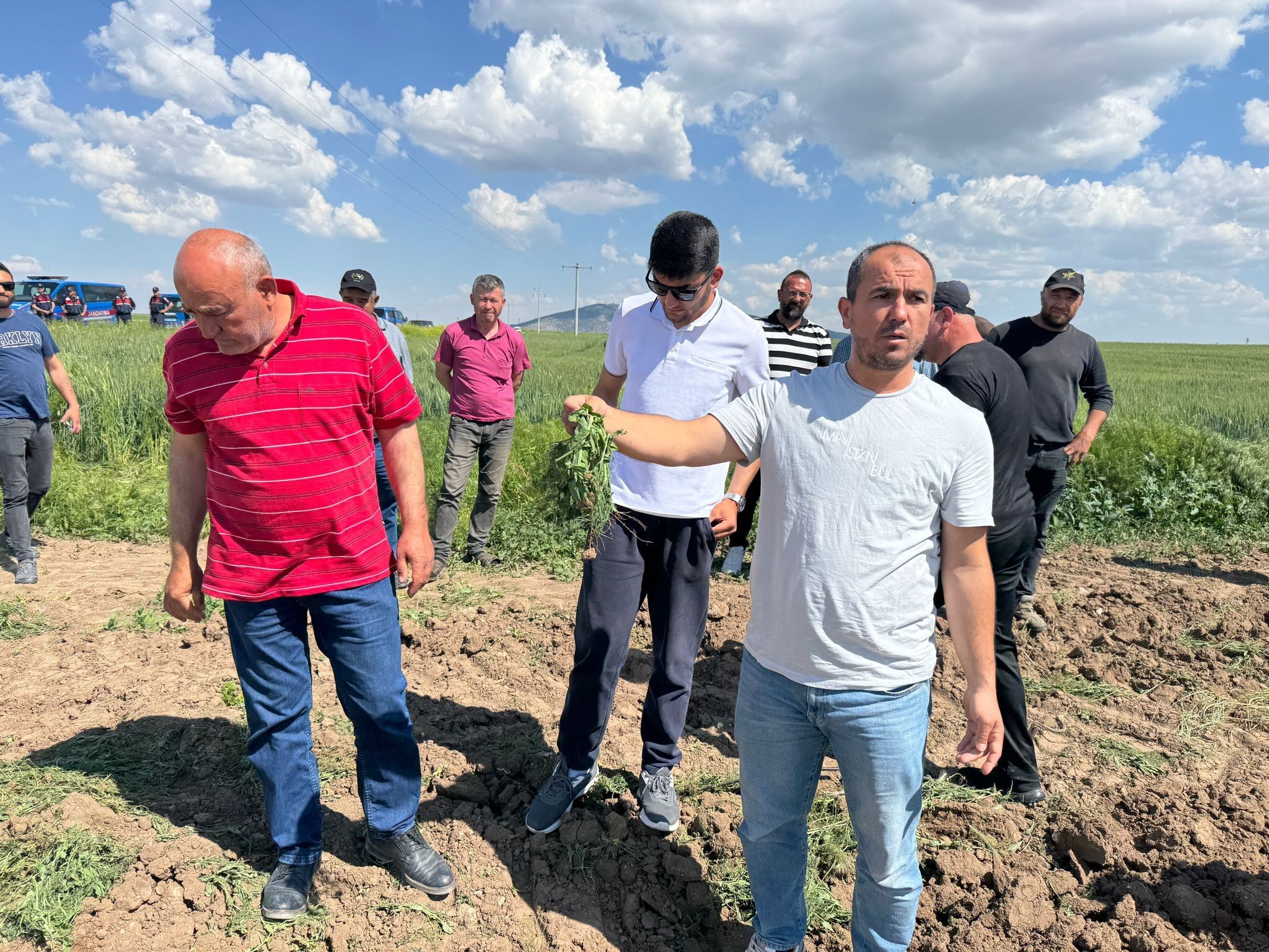 Arazi Kavgası