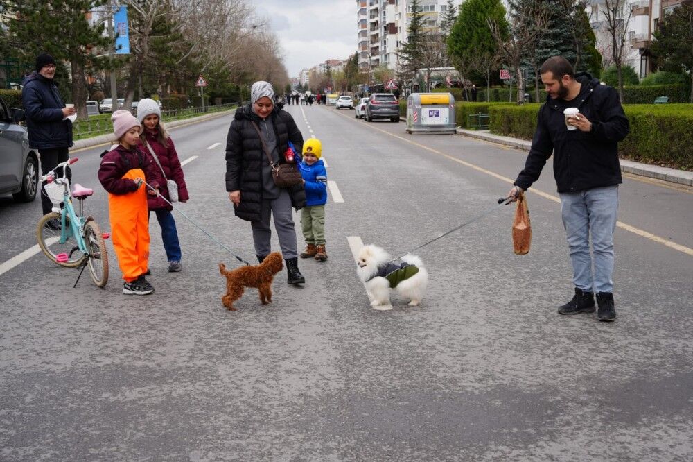 Arabasız Pazar