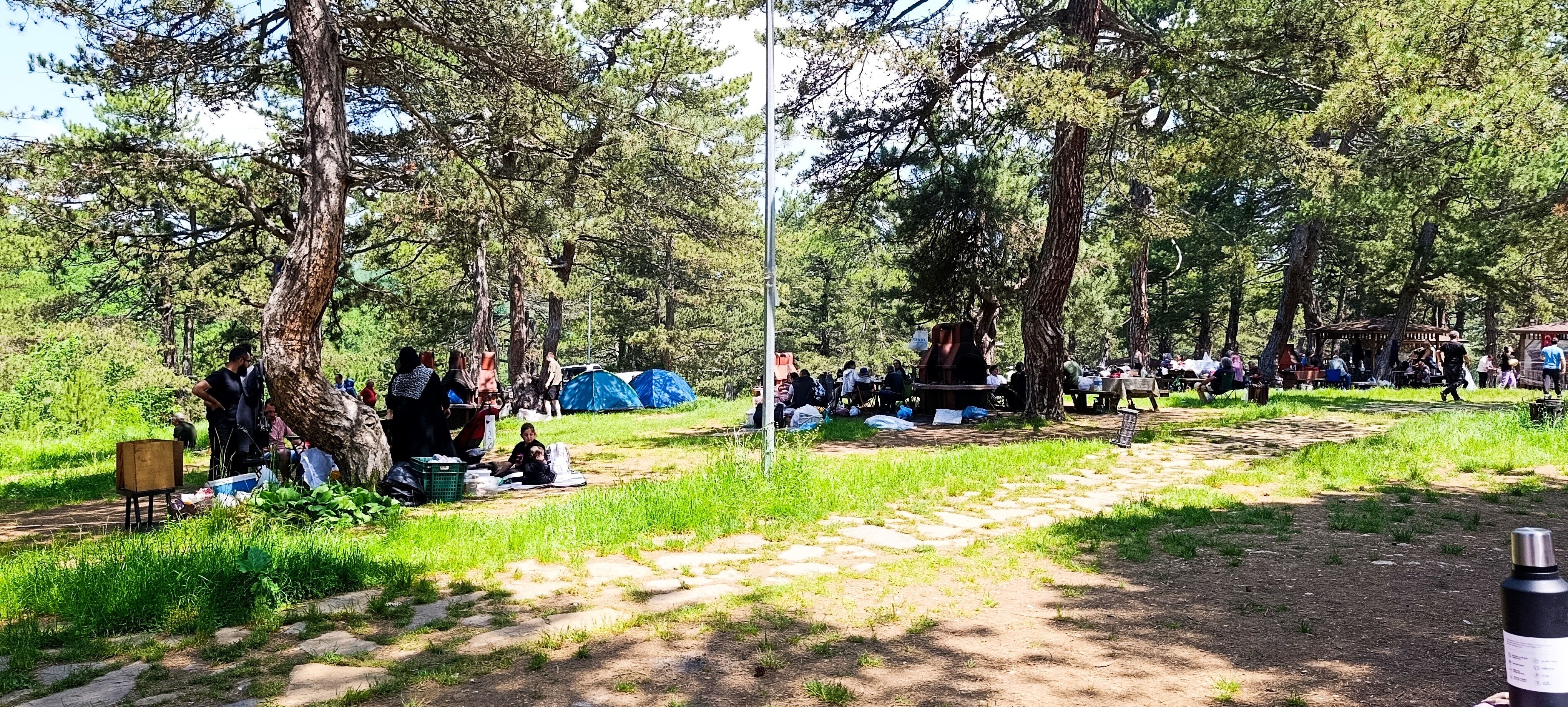 Tabiat Parkına 1