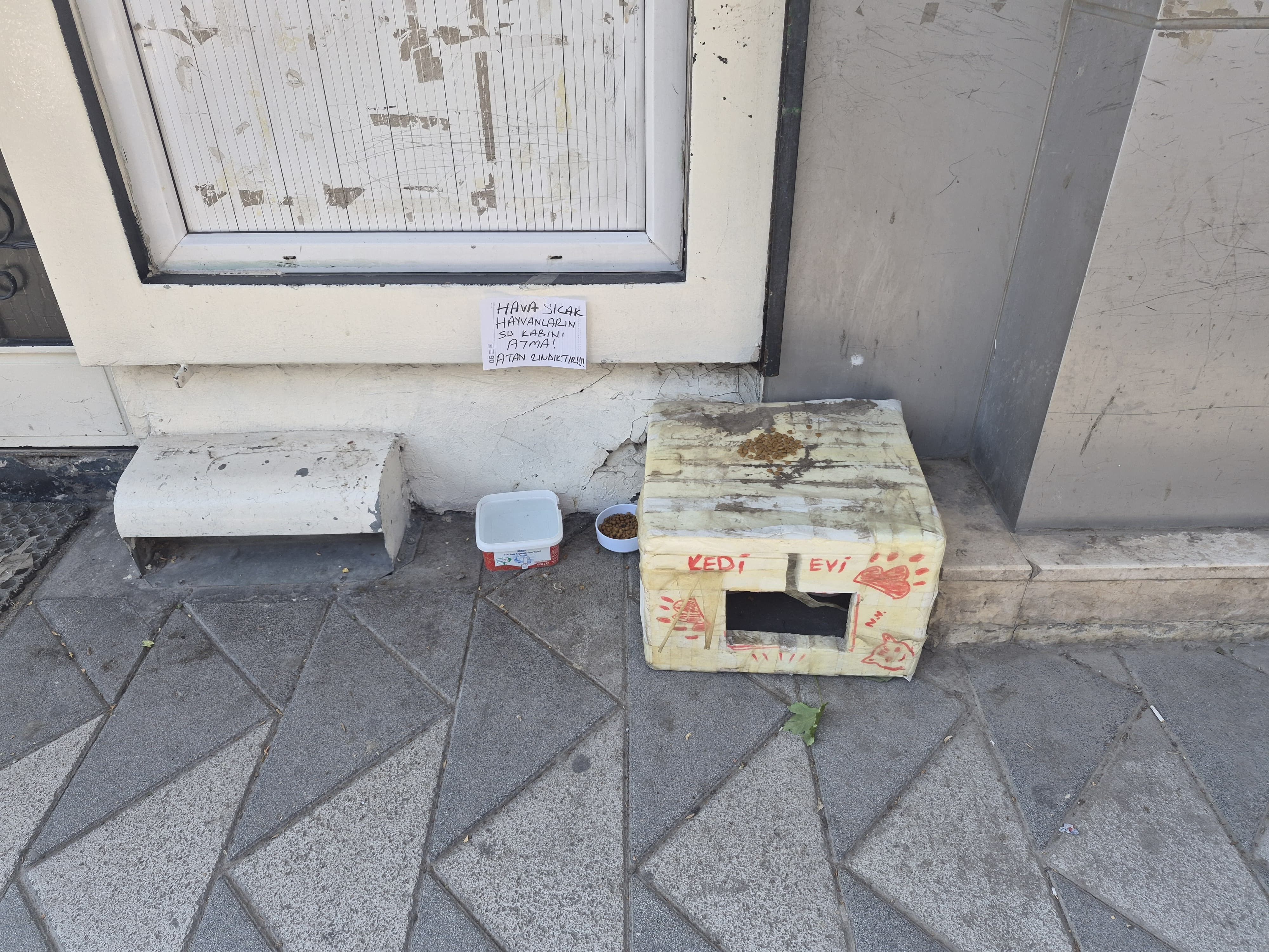 Kedi Dostu Vatandaş