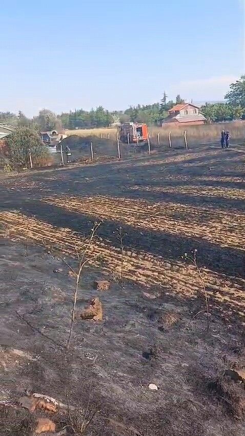 Eskişehir Ot Yangın