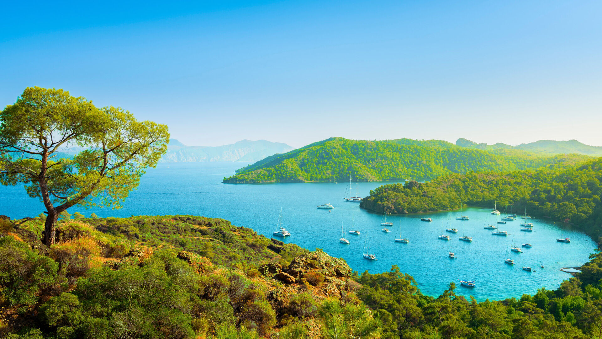 Akdeniz