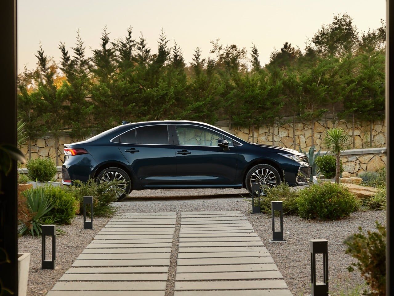 Corolla 