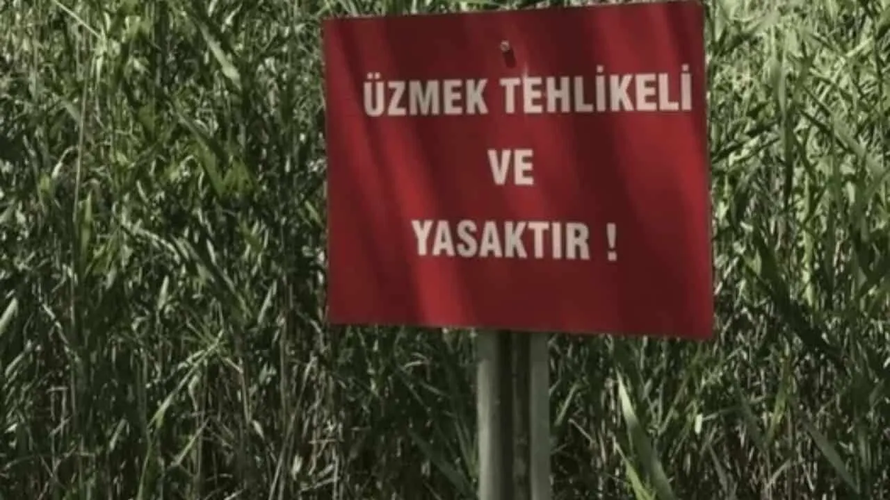 Hande Ercel Paylasımı