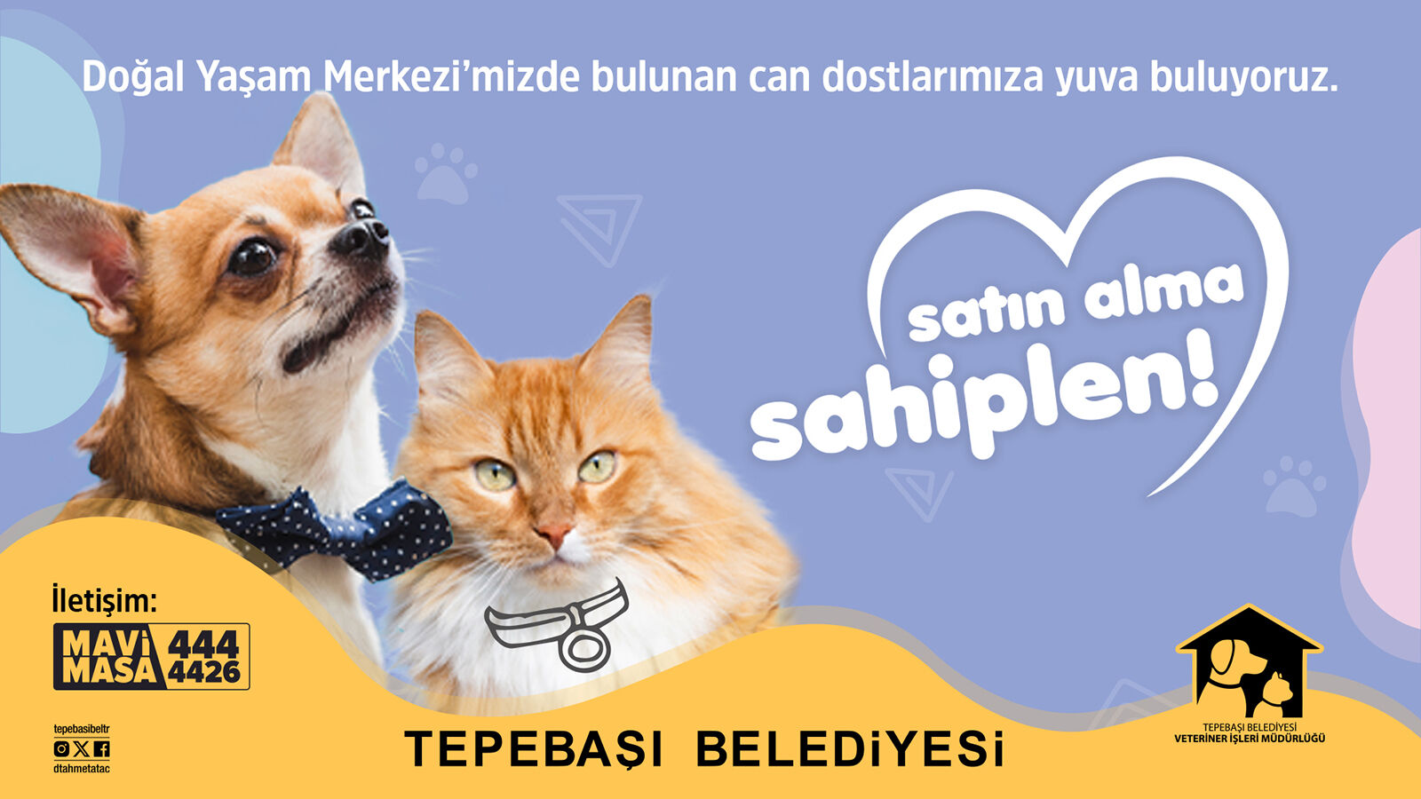 SATIN ALMA SAHİPLEN