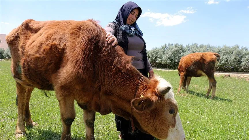 Kurbanlık
