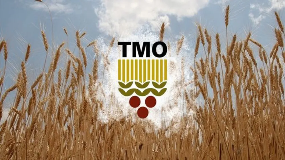 Tmo