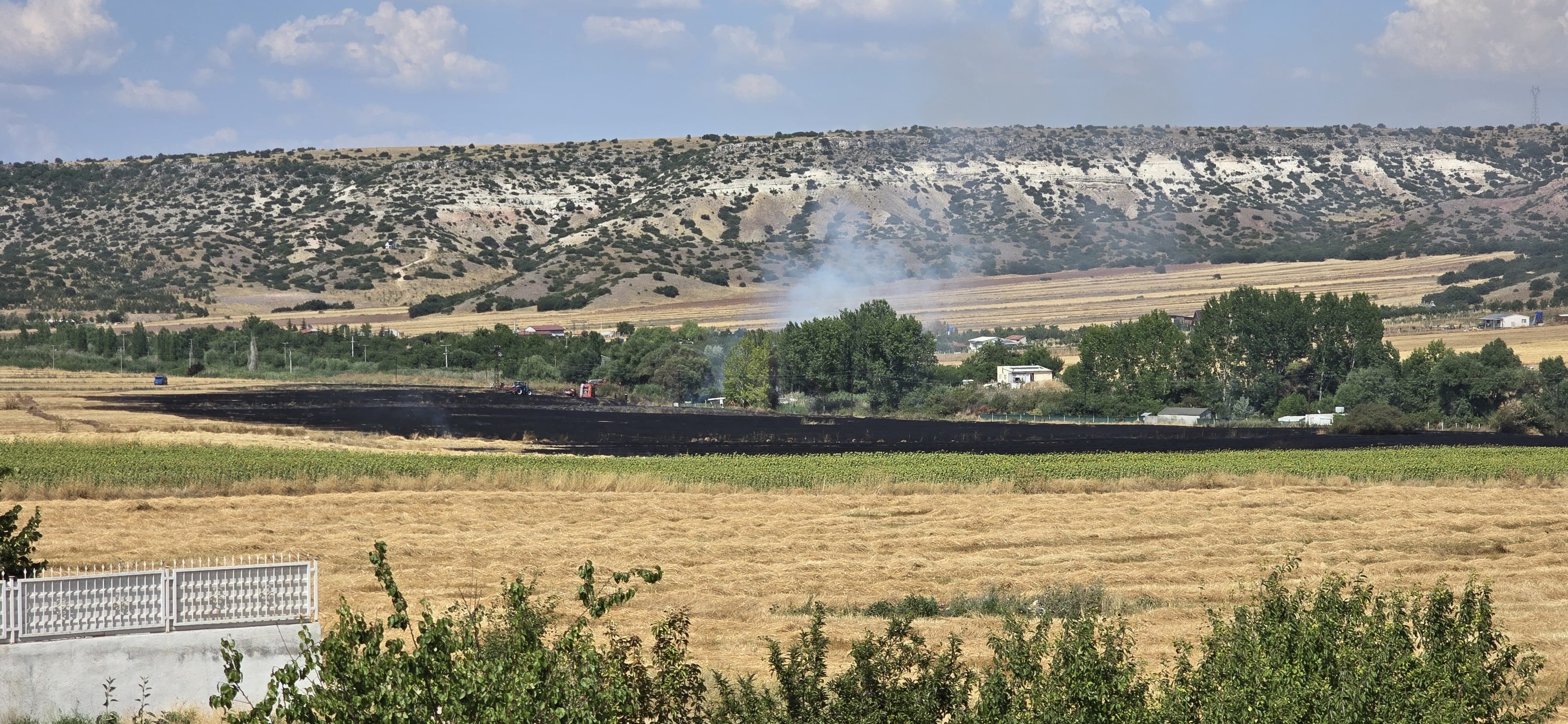 Yangın