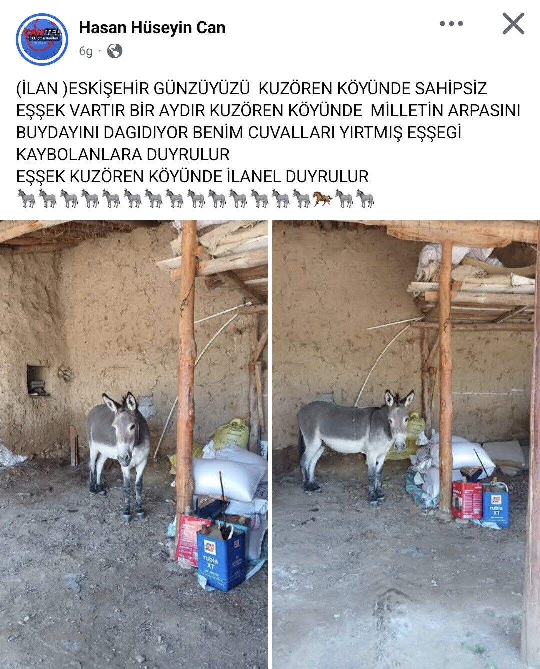 Eşek
