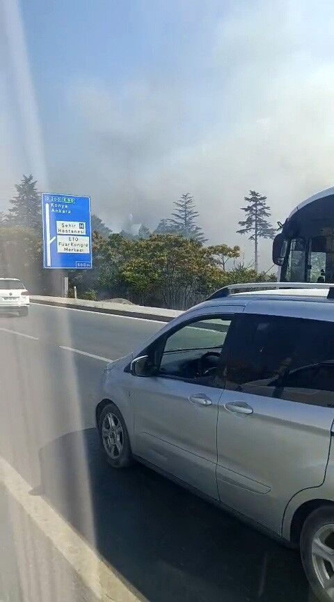 Otluk Yangını