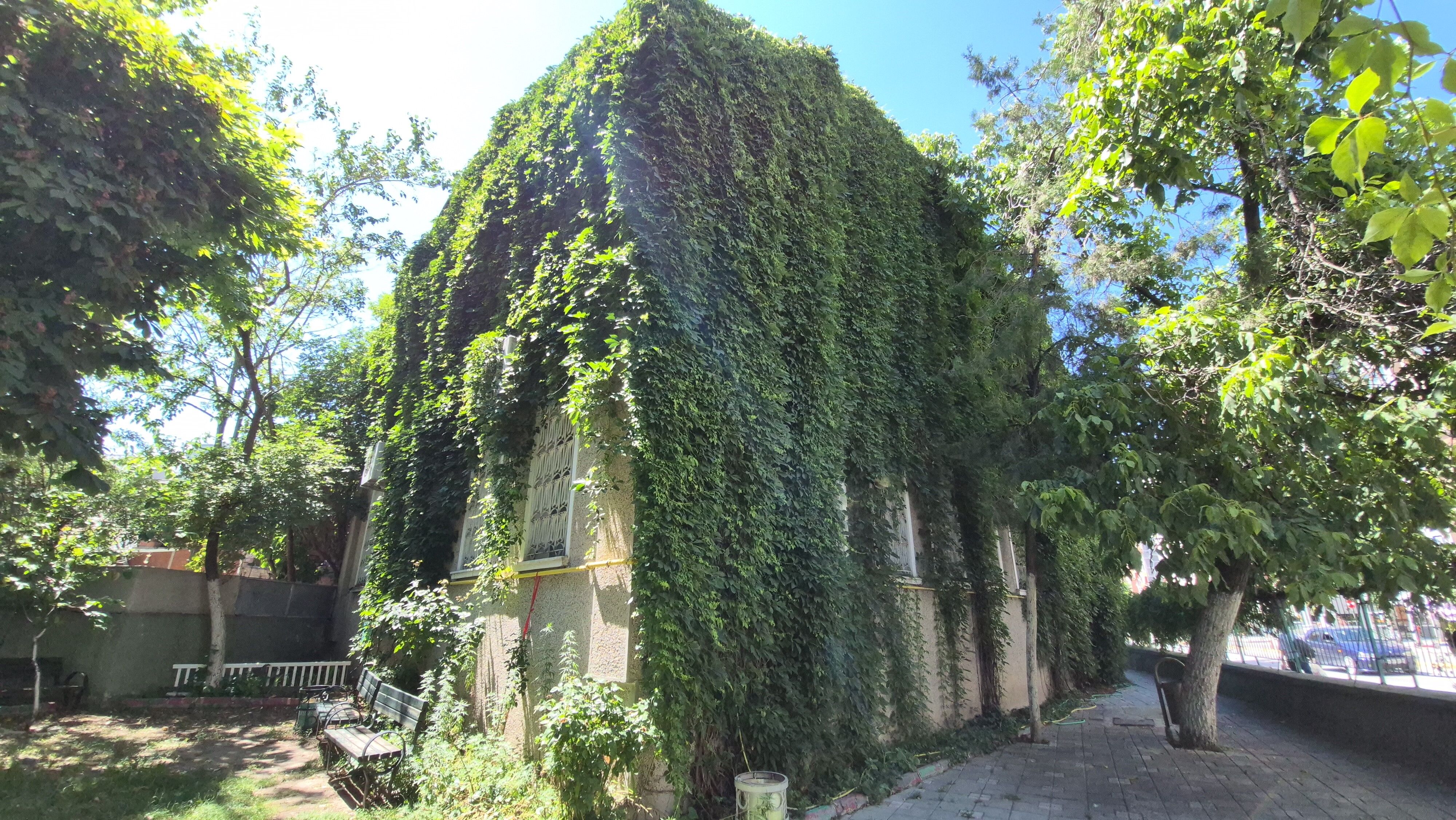 Sarmaşıklı Cami