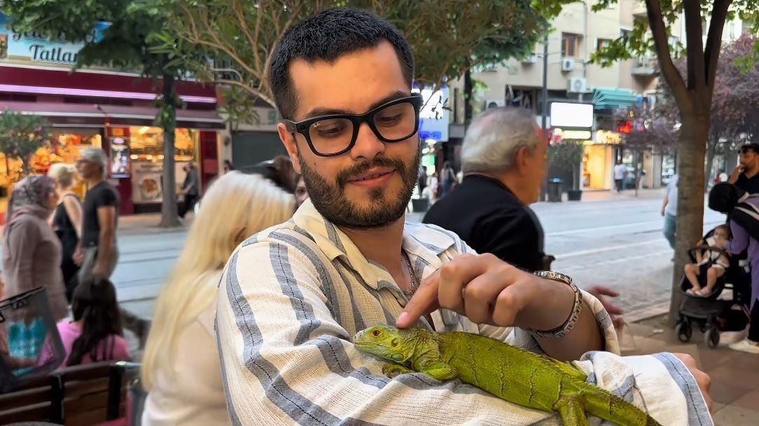 İguana