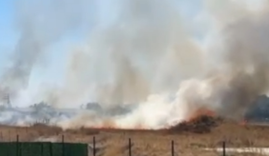 Yangın