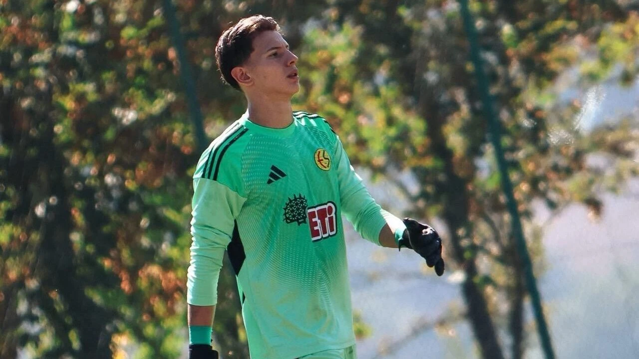 Arda Pehlivan