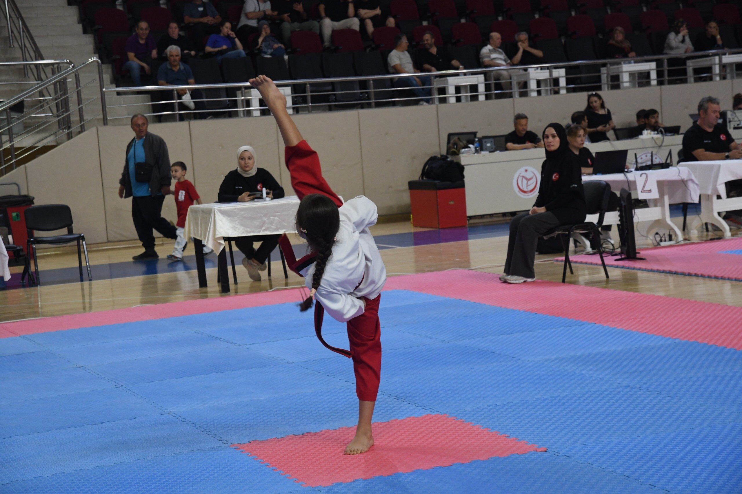 Taekwondo