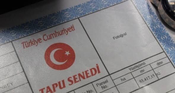 Tapu
