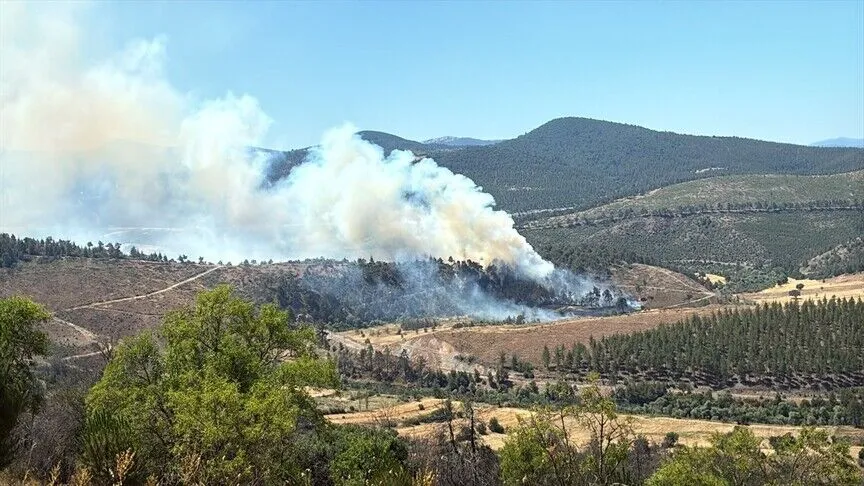Bursa Büyükorhan Yangını