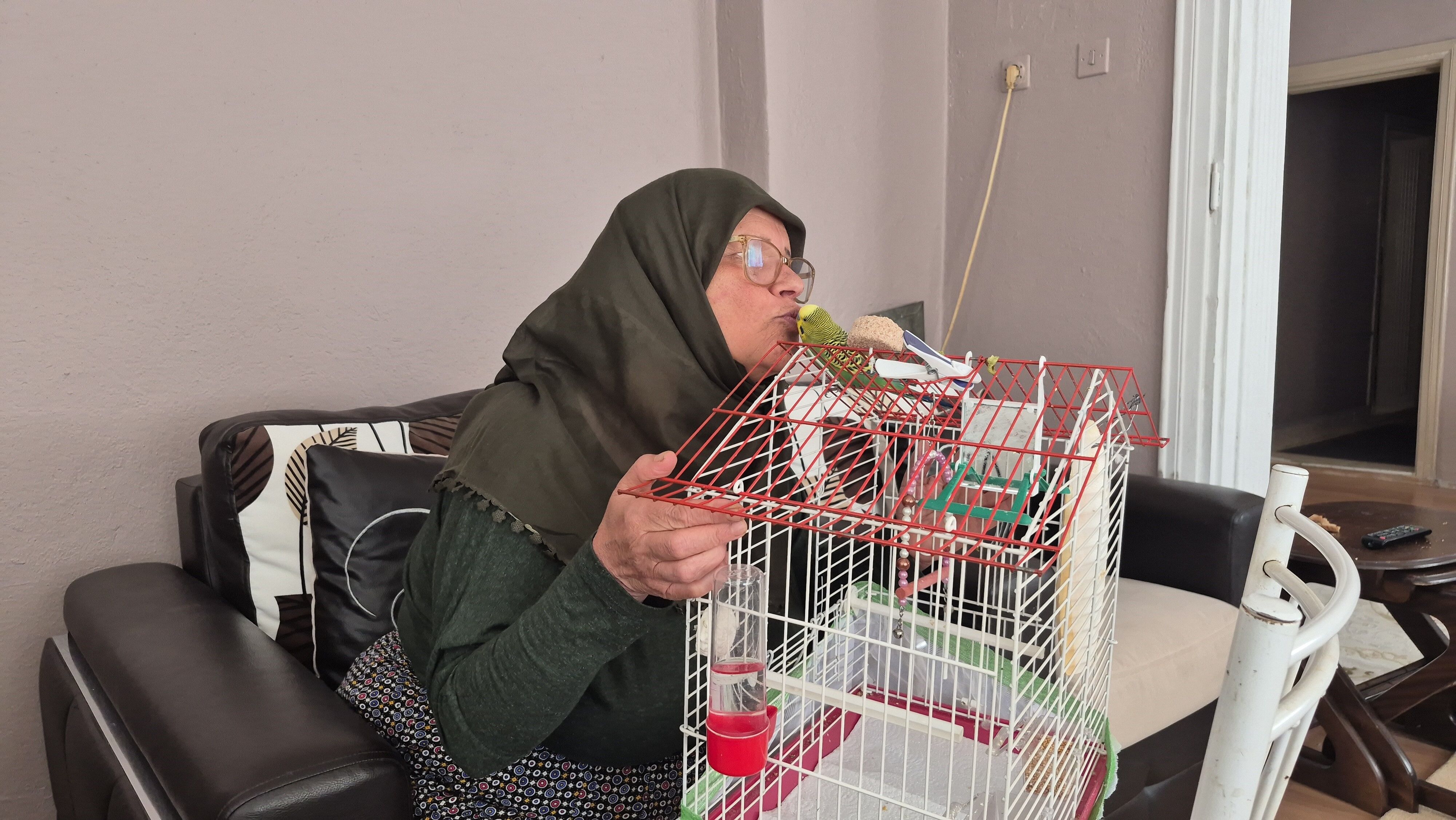 muhabbet kuşu