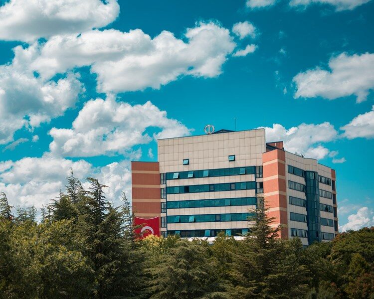 YAZILIM VE DESTEK HİZMETİ ALINACAKTIR