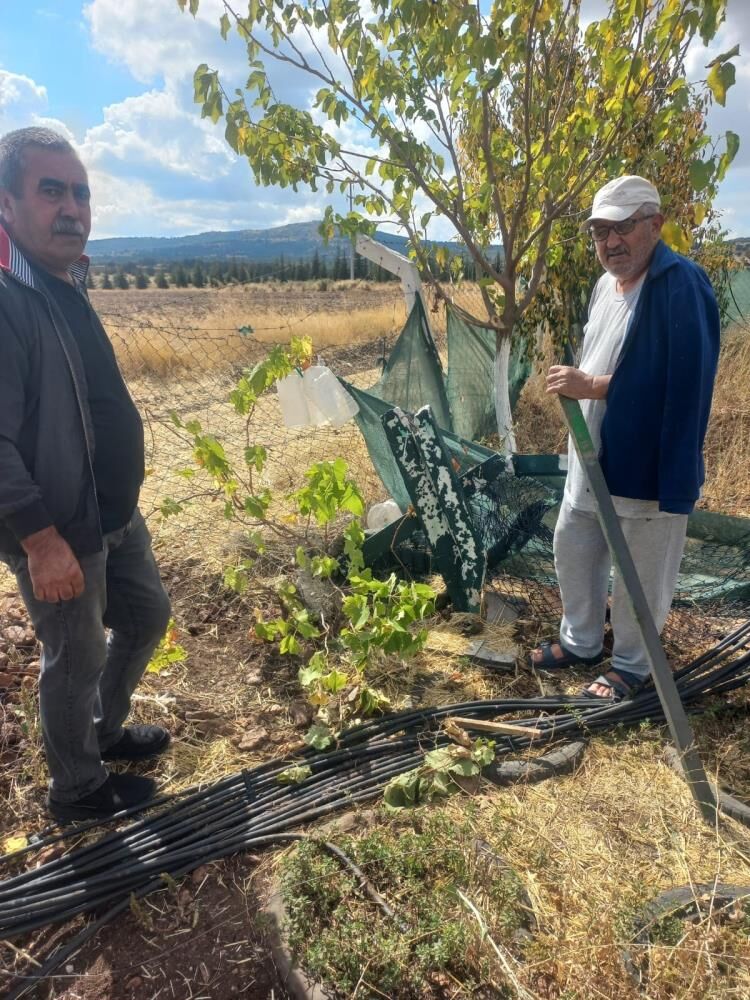 Bahçe Teli