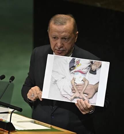 Recep Tayyip Erdoğan BM