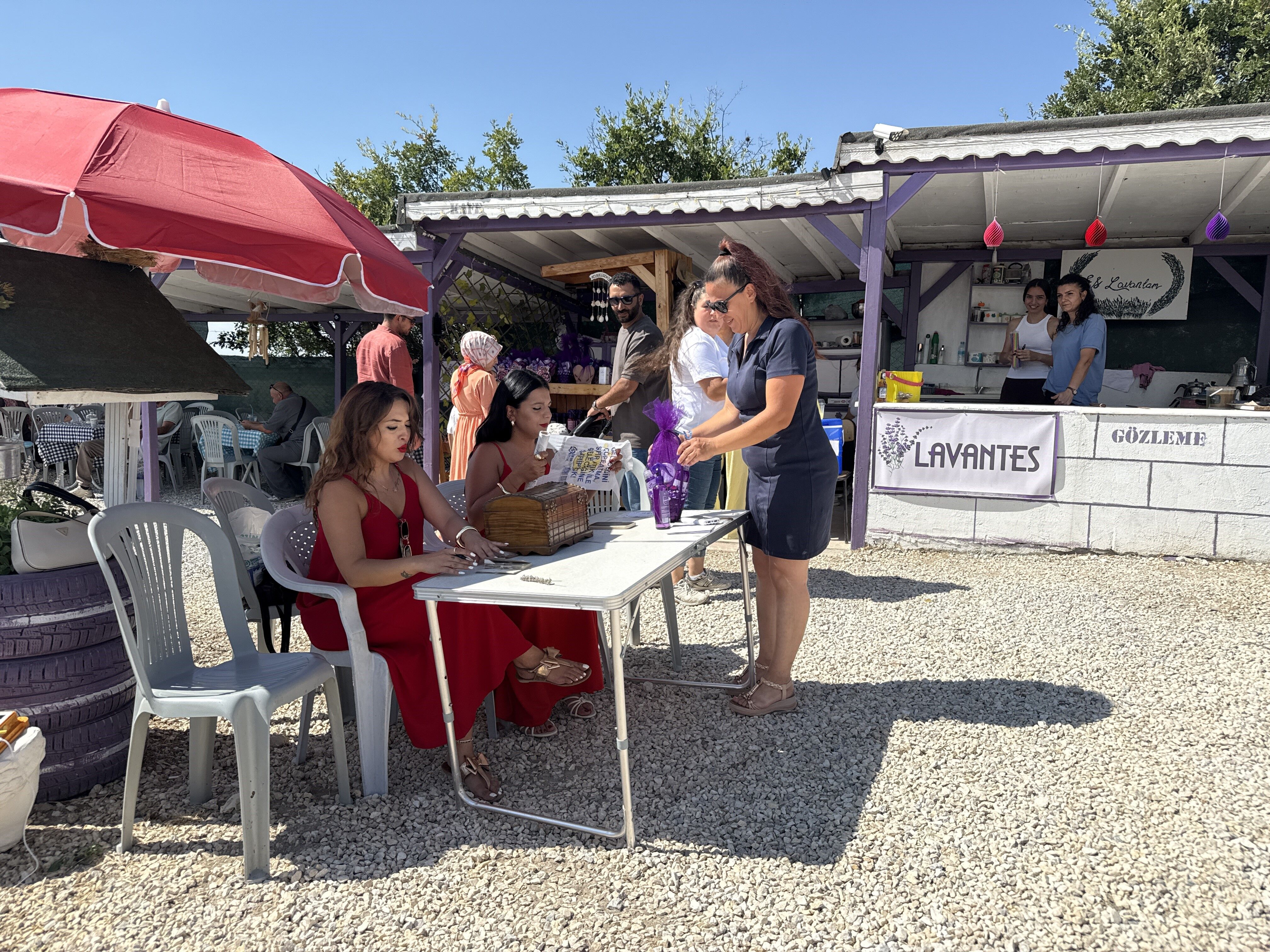 Lavanta 2