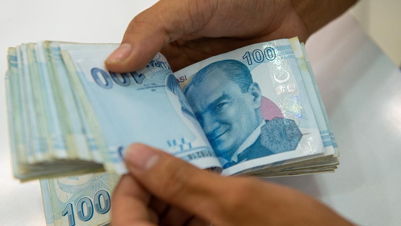 100 Lira Banknot