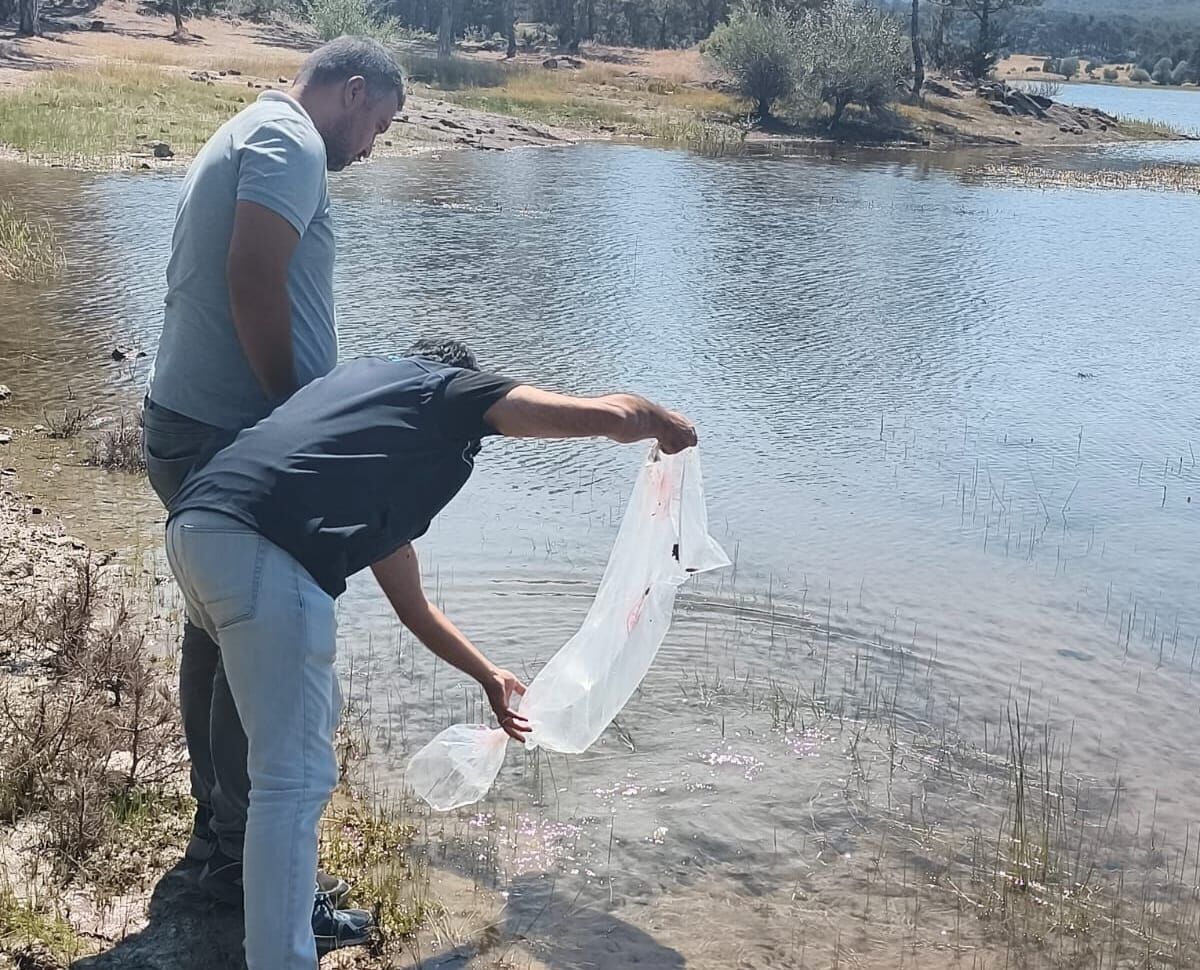Eskişehir'in Gölet ve Barajlar