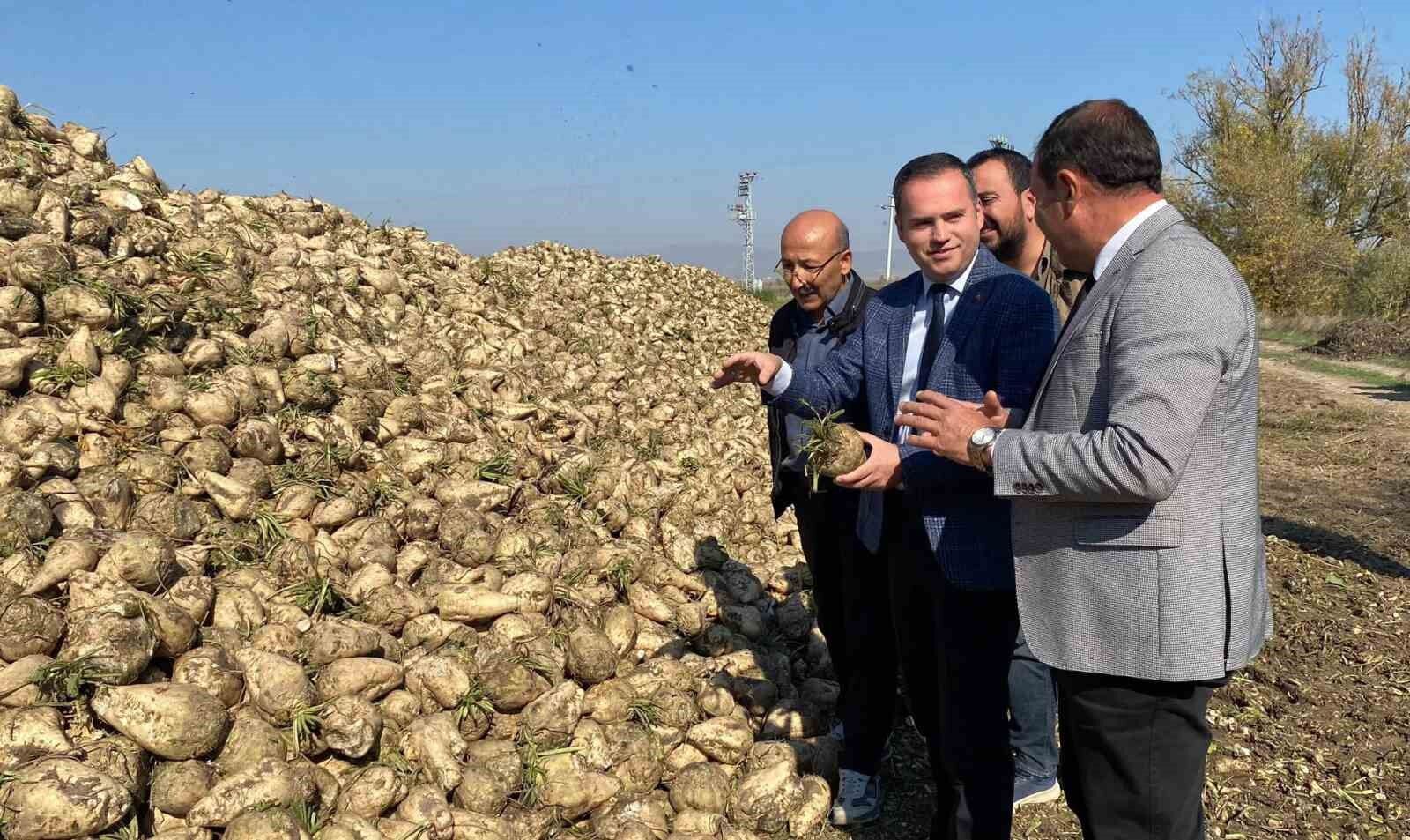 Alpu’da Şeker Pancarı Hasadı Başladı, Kaymakam Tarlaya İndi (2)