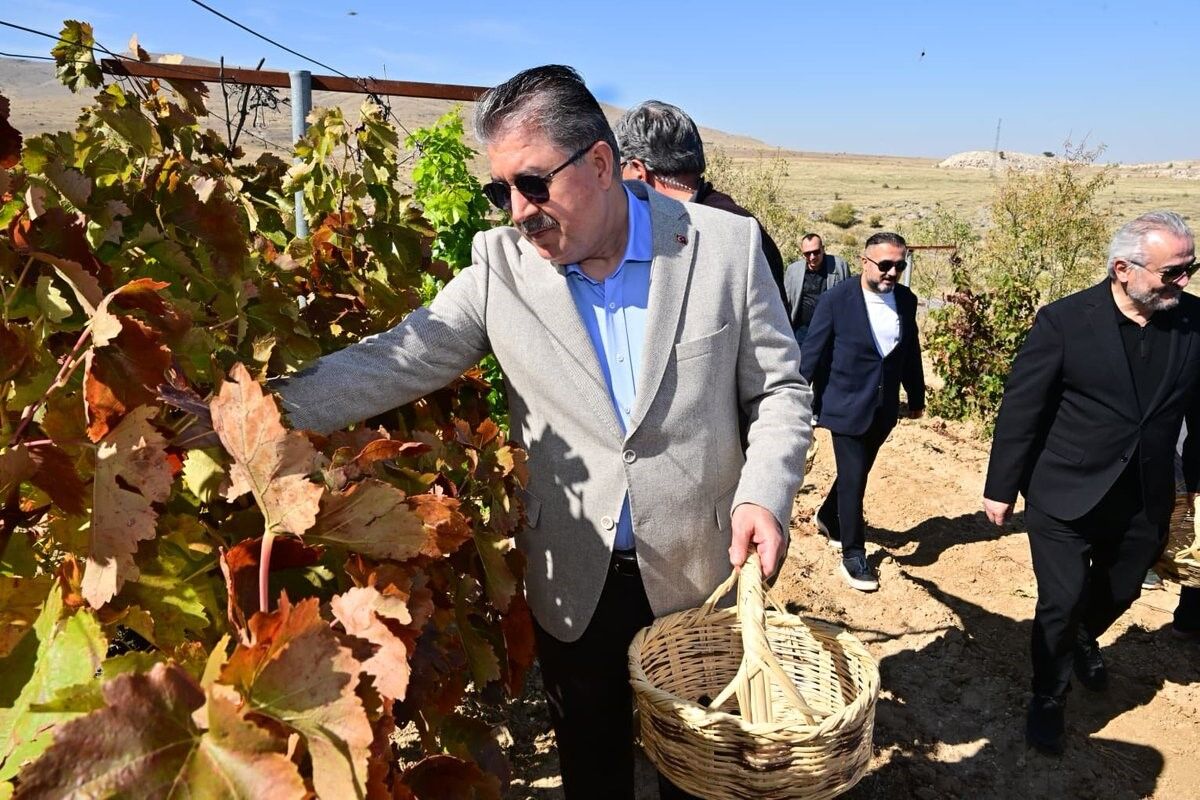 Eskişehir Protokolü Gecek’te Üzüm Hasadına Katıldı