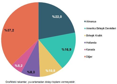 Beyin Göçü